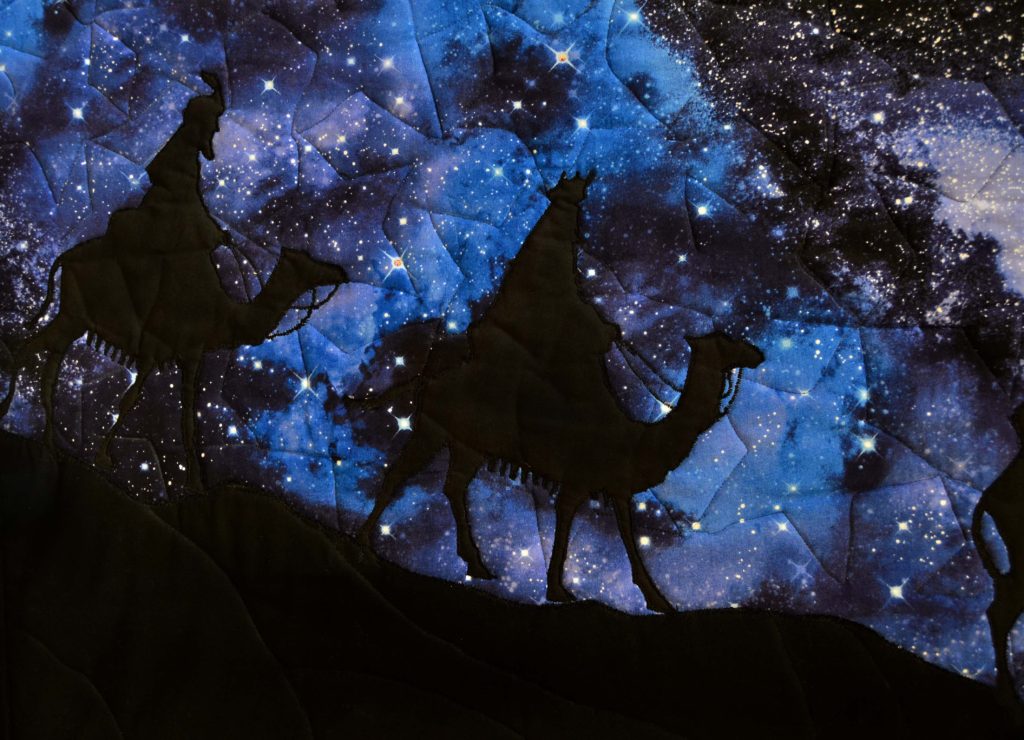 Black camel silhouette against rich starry night sky
