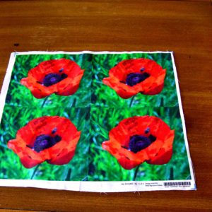 Jewel tone poppy with Bee 4 set printed panel