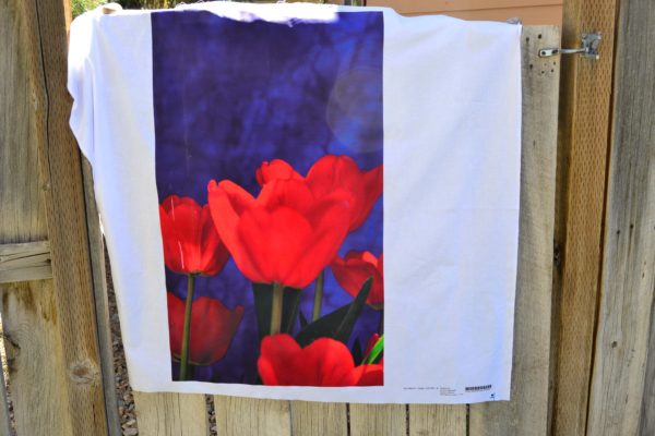 Patriotic Tulips red tulips on plain blue background printed photo panel