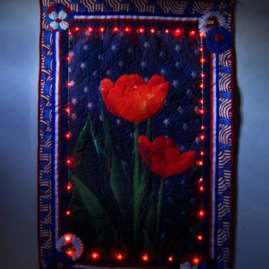 Patriotic Garden photo with red fairy lights turned on lowlight photography